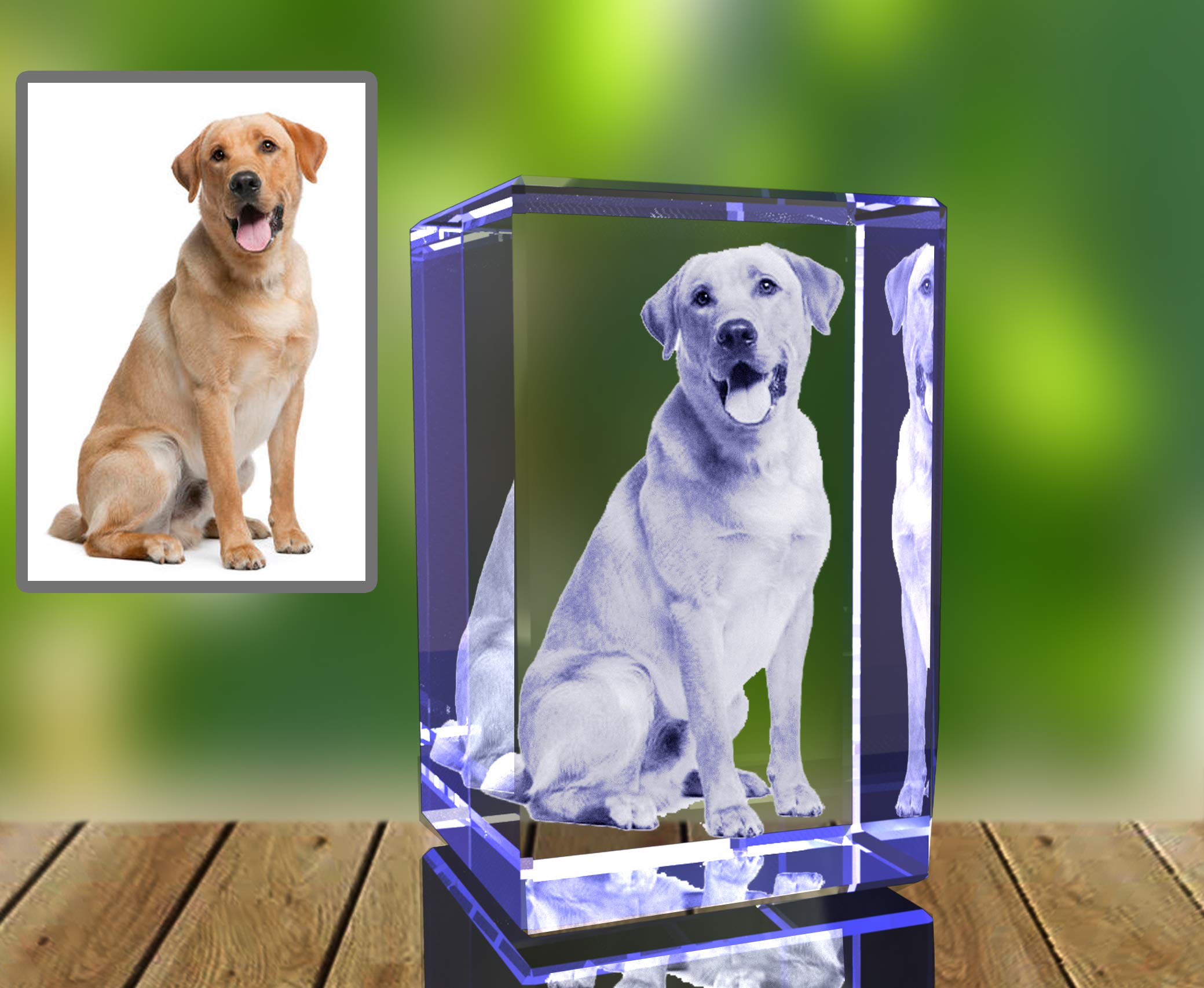 Personalized Photo Gift | 3D Engraved Crystal Keepsake | Gift | Décor | Collectible| Souvenir | Dogs Or Cats Personalized Photo Frame small rectangle