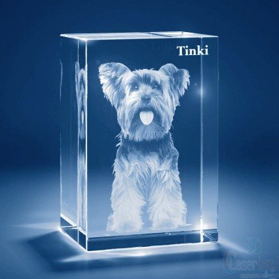 3D Crystal Glass Picture Custom from Photo. Tower