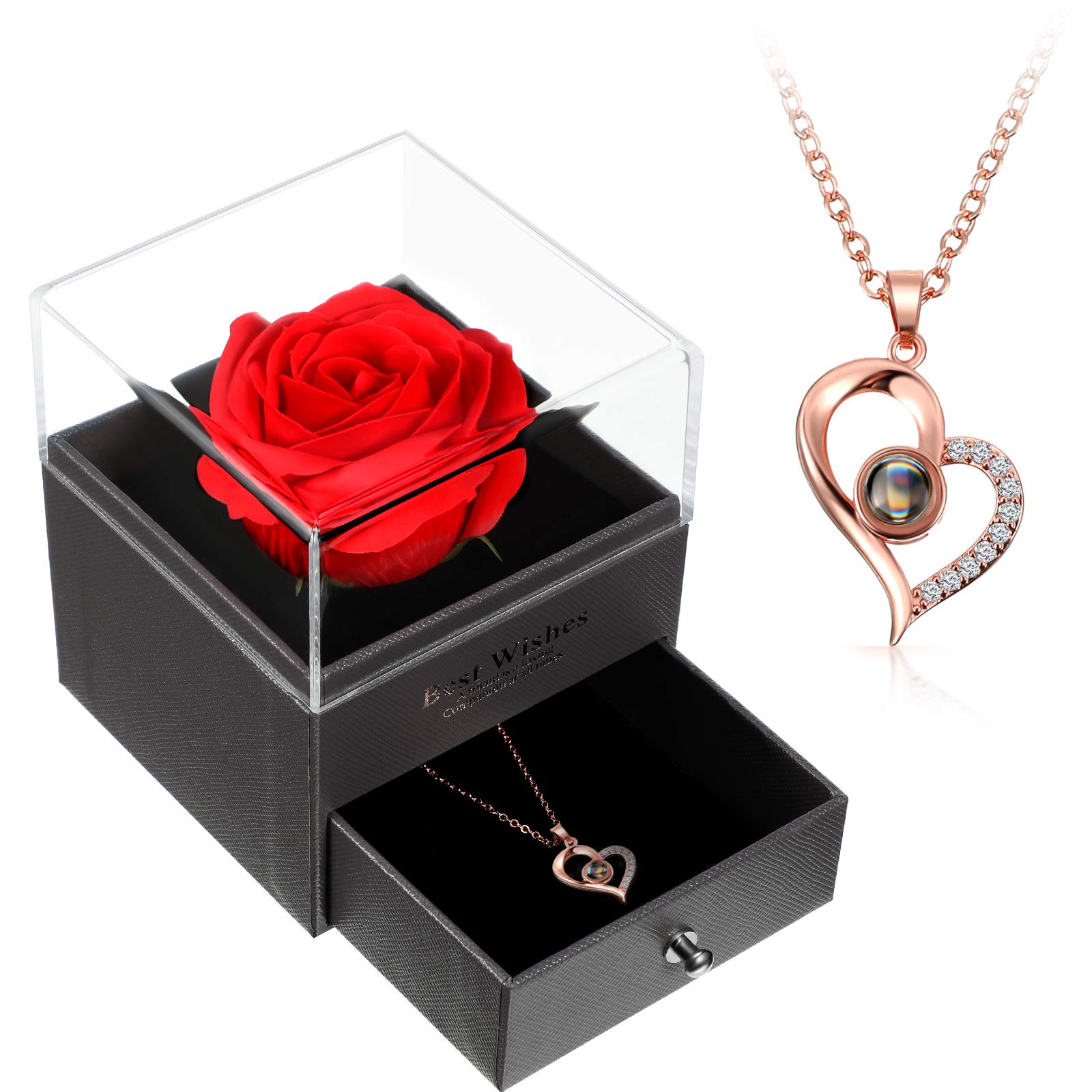 Hicarer Mother's Day Necklace Gift for Girlfriend I Love You in 100 Languages Projection Necklace with Preserved Red Real Rose Flowers in Box for Women Mom Wife on Anniversary