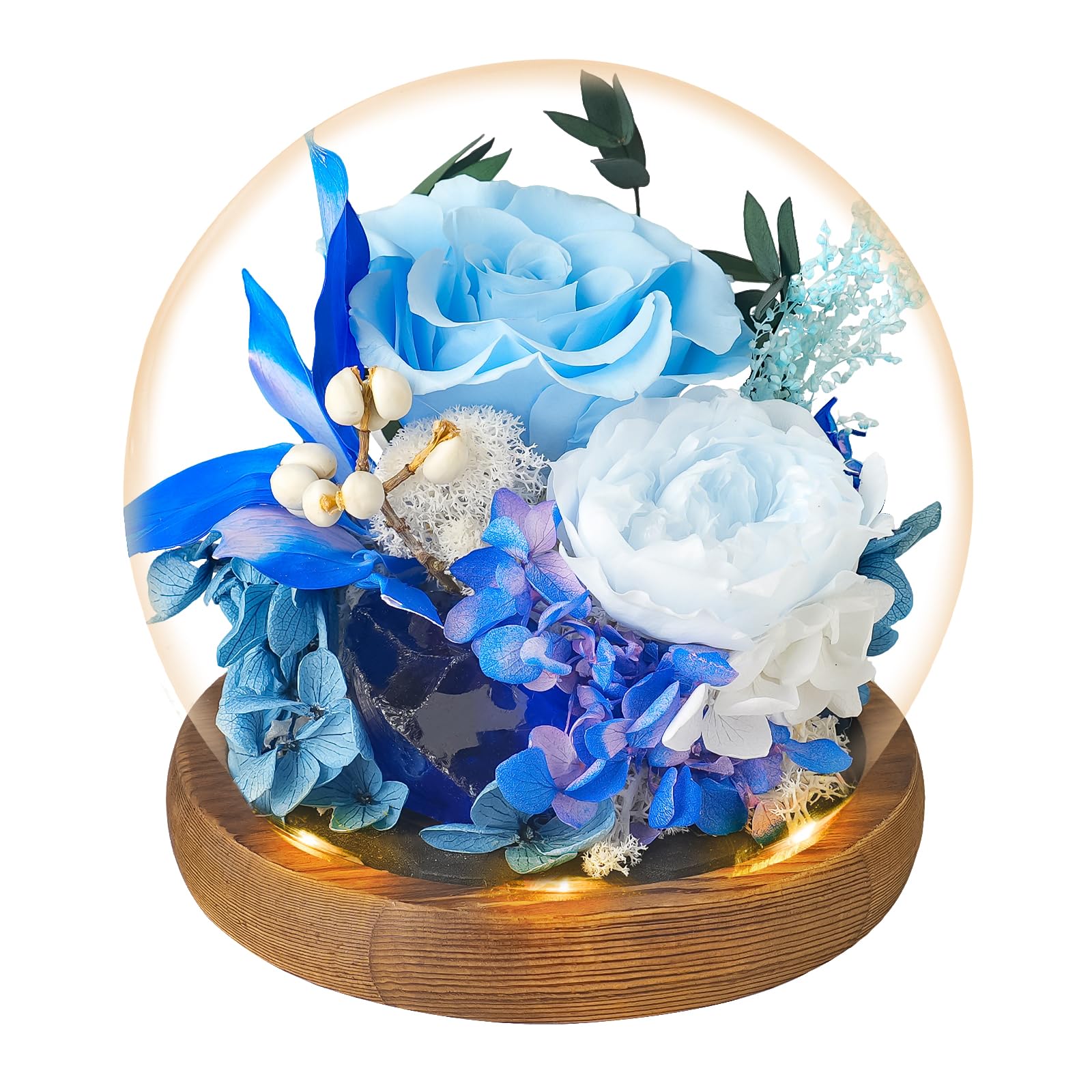 Double Blessing of Real Rose and Healing Crystal, Preserved Flowers Glass Dome with LED,Rose Gift for Women,Preserved Rose in Black Gift Box with Card,Romantic Glass Rose for Birthday,Anniversary