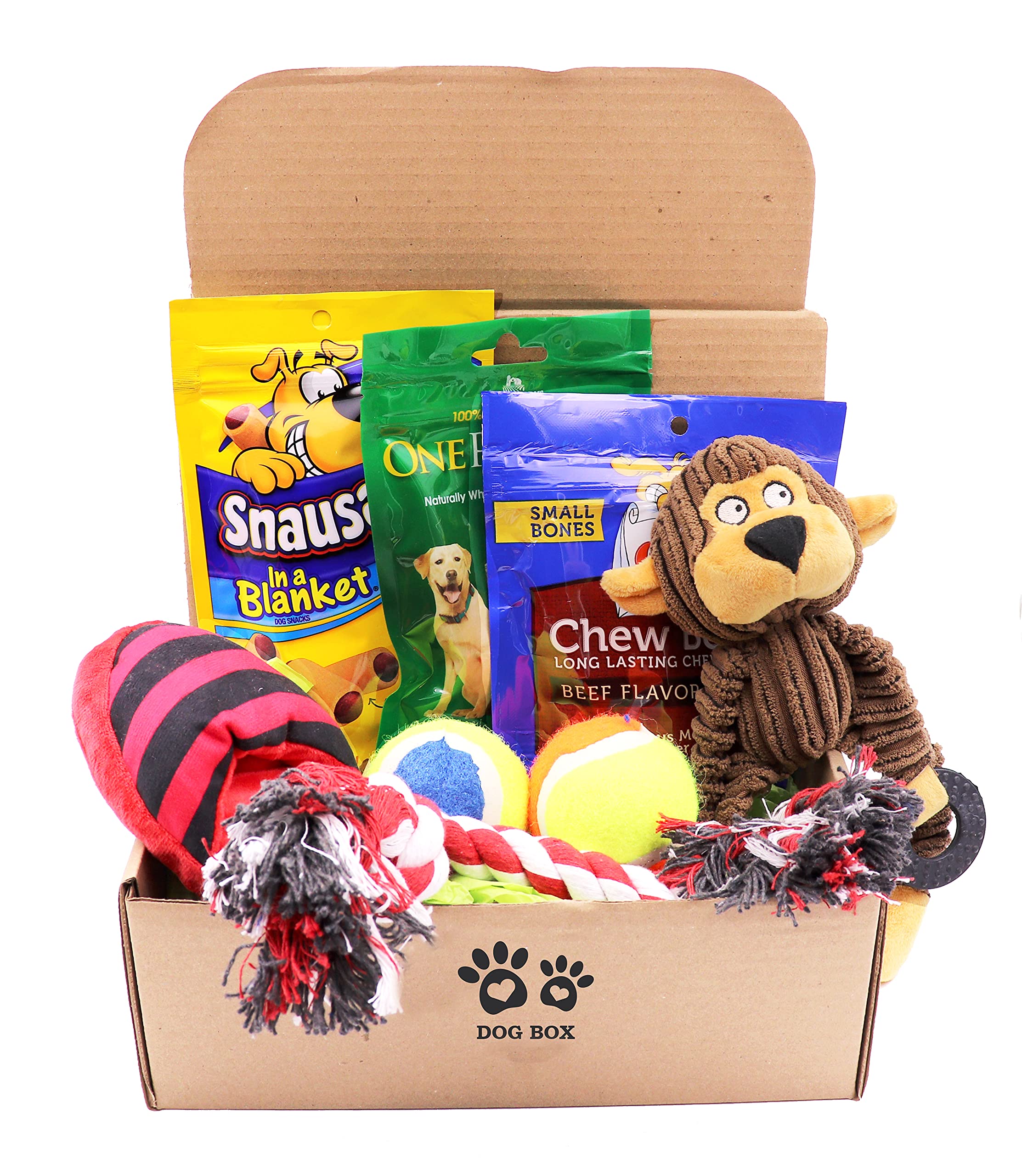 Dog Gift Box Set with Pet Toys Treats Snacks