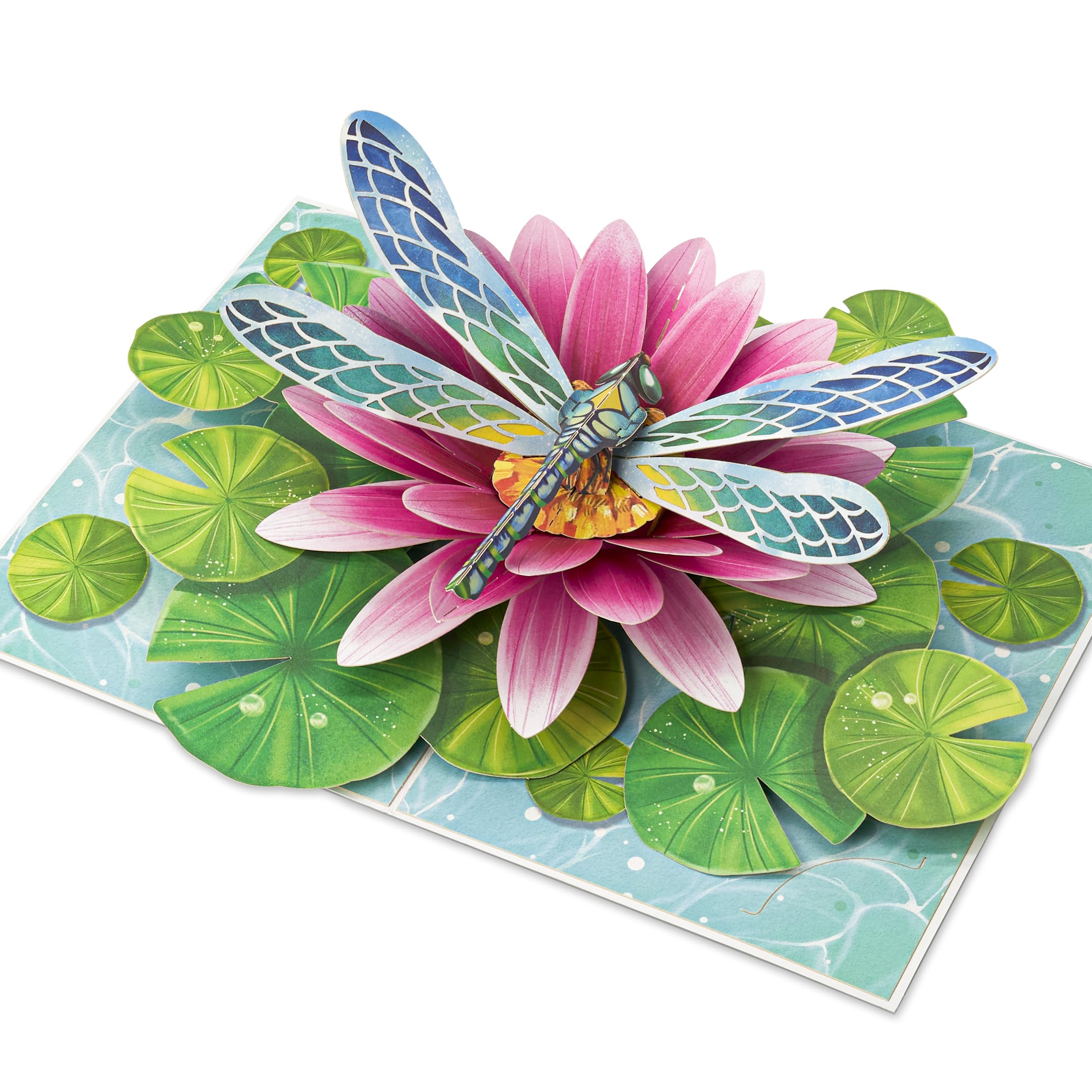 Dragonfly Pop Up Cards, Water Lily, Leaf, 3D Greeting Cards, Gift for Birthday, Mothers Day, Valentines Day, Mom, Wife, Girlfriend, Sister, Daughter, 5x7 - Includes Envelope And Message Note