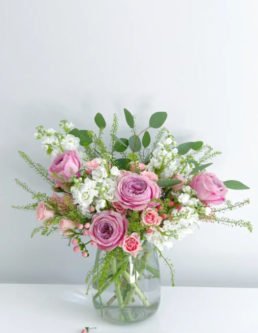 Mixed Peony Jumbo Pack - 4 Paeonia Large Roots - Pink